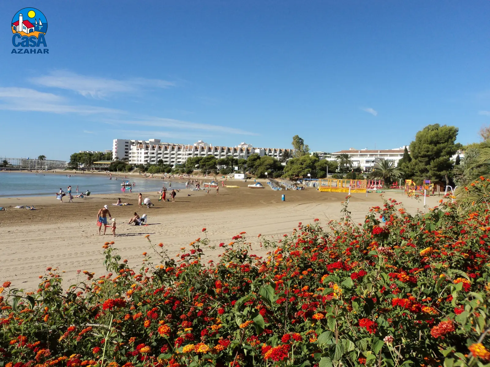 Playa de Las Fuentes de Alcossebre con flores en primer plano y el paseo marítimo al fondo
